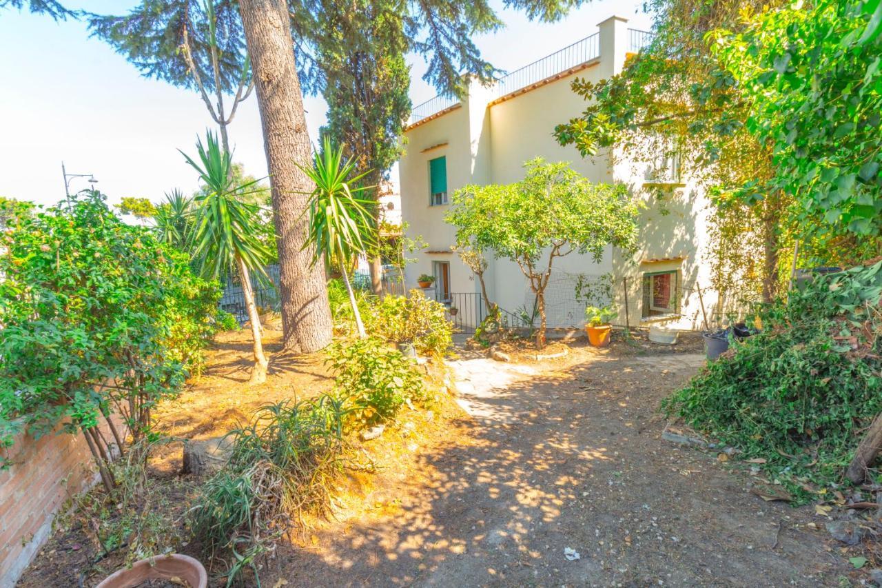 Apartment Indipendente Con Terrazza *