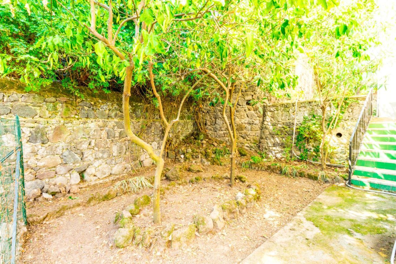 Indipendente Con Terrazza Apartment Ischia