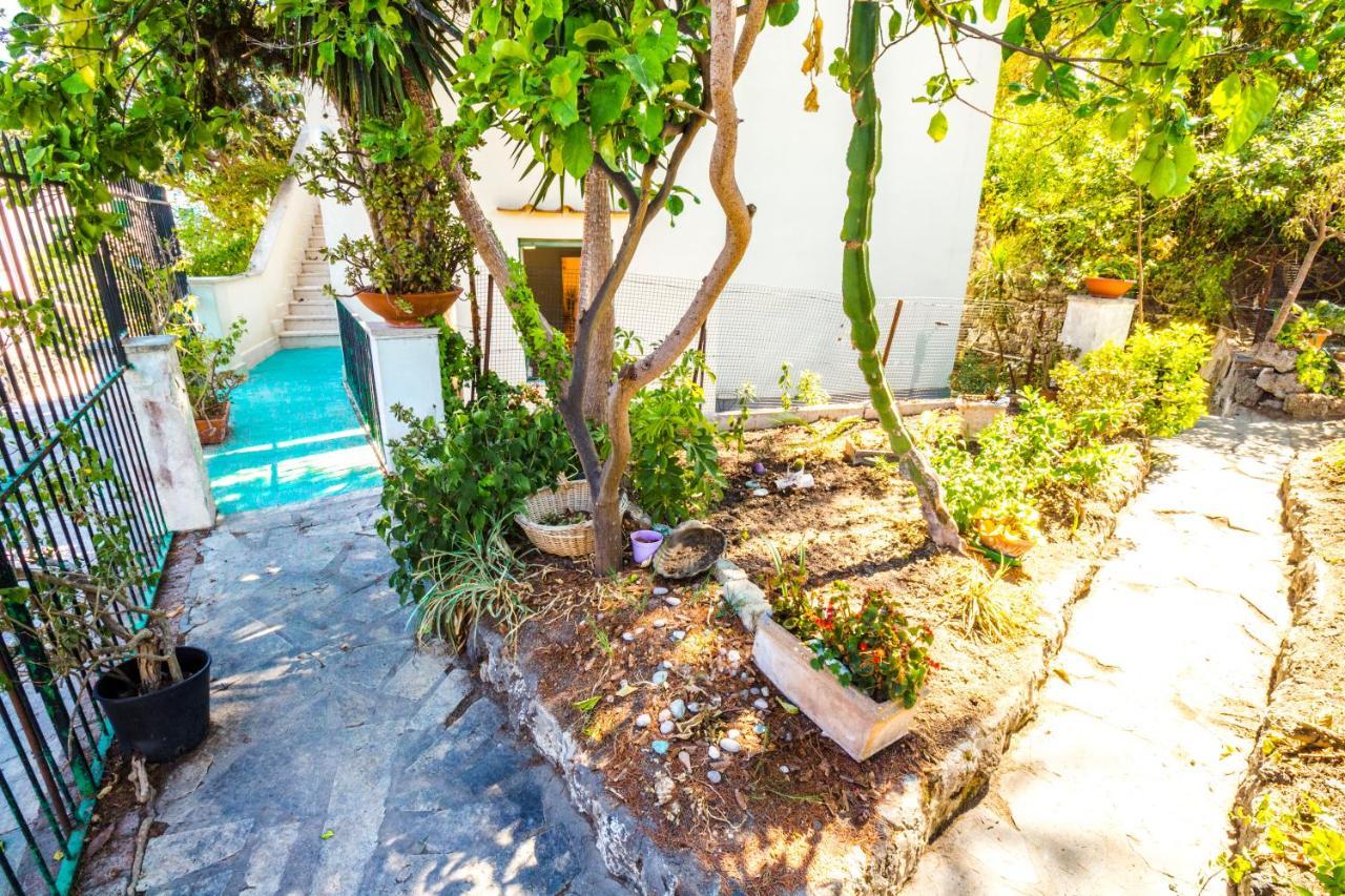 Apartment Indipendente Con Terrazza *